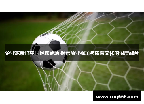 企业家亲临中国足球赛场 揭示商业视角与体育文化的深度融合