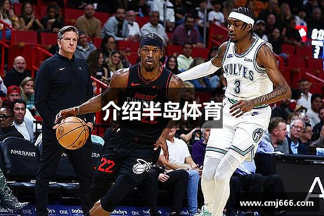 介绍半岛体育